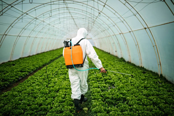 Best Pest Inspection Near Me  in Talluh, LA