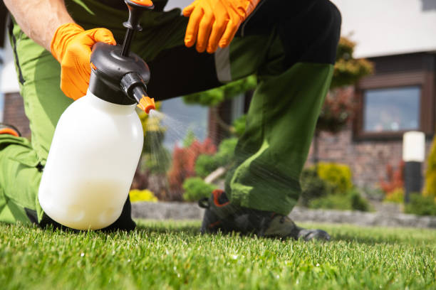 Best Pest Control Near Me  in Talluh, LA