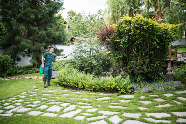 Best Local Pest Control Services  in Talluh, LA