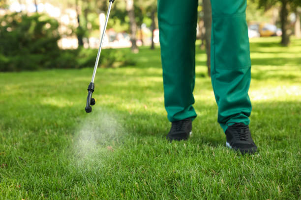 Best Affordable Exterminators  in Talluh, LA