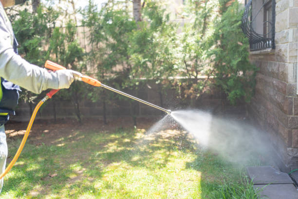 Professional Pest Control in Tallulah, LA