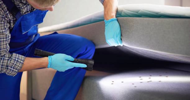 Best Rat Extermination Near Me  in Talluh, LA