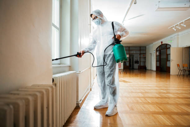 Best Pest Control Near Me  in Talluh, LA