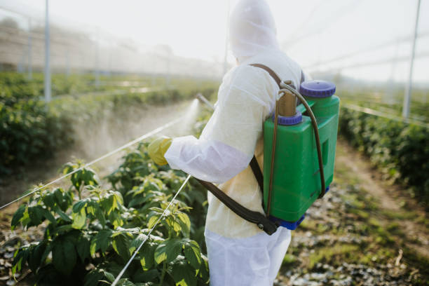 Best Insect Control  in Talluh, LA